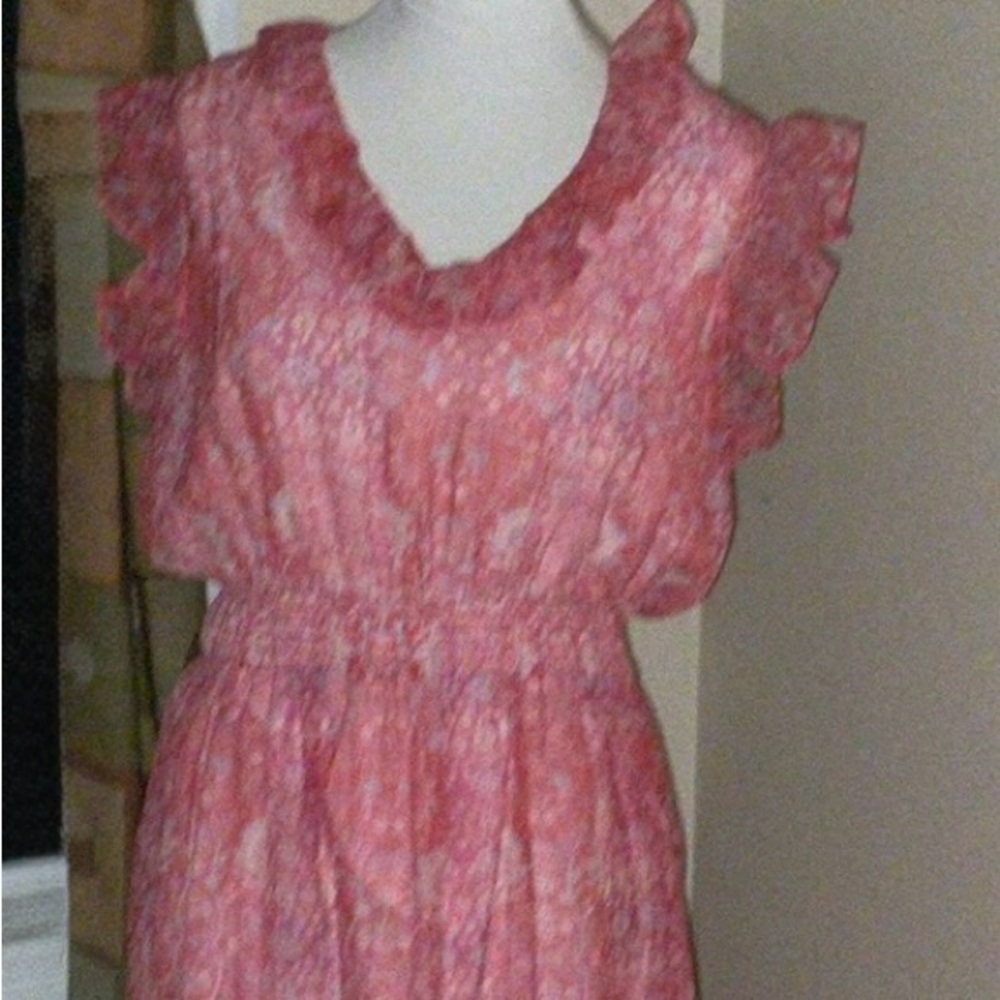 Philosophy Republic Clothing Pink Floral Lined Ruffled Maxi Dress NWTs